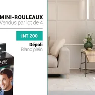 Miniature 5